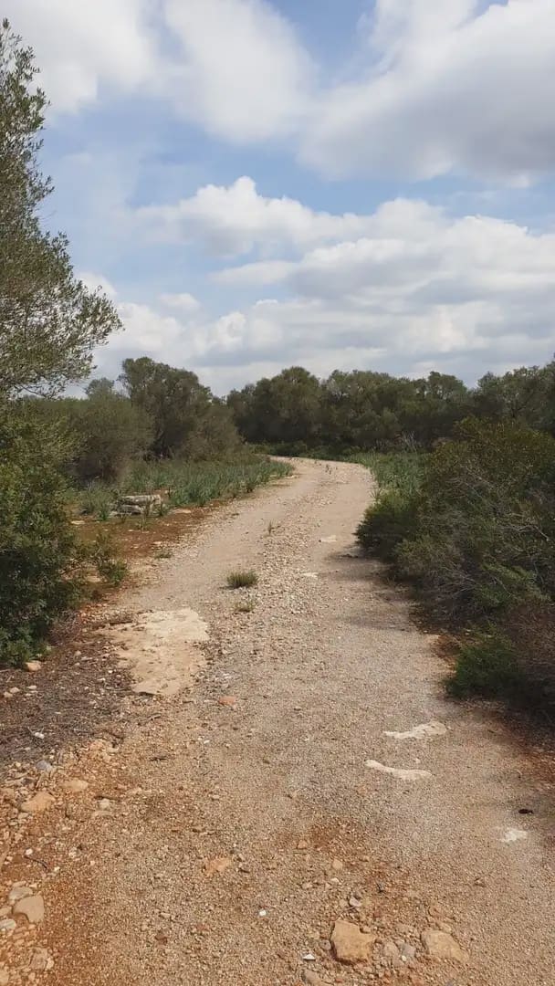 Building Plot for sale in Llucmajor - € 980,000 (Ref: 9971535)