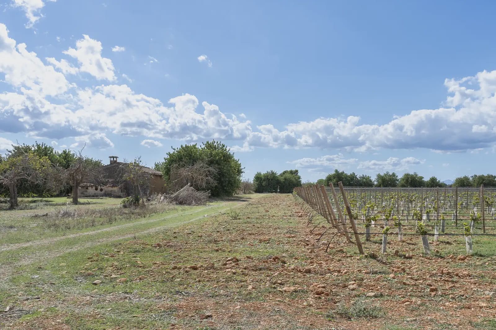 Building Plot for sale in Binissalem - € 1,700,000 (Ref: 9971560)