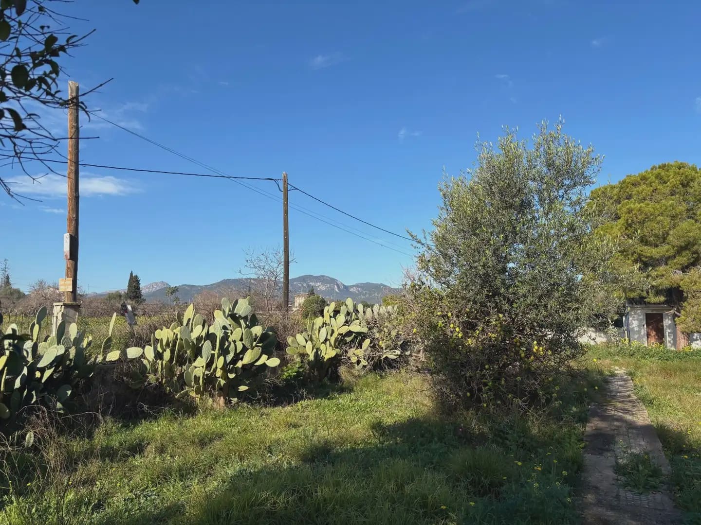 Byggegrund til salg i Palma de Mallorca - € 649.000 (Ref: 9971585)