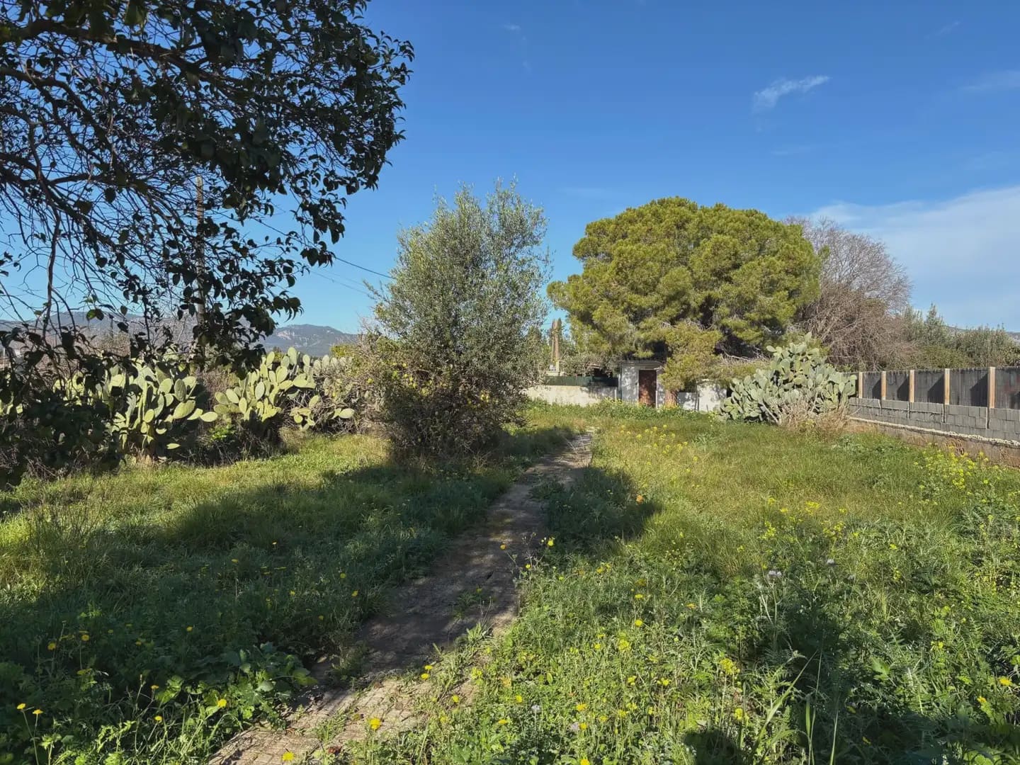 Byggegrund til salg i Palma de Mallorca - € 649.000 (Ref: 9971585)
