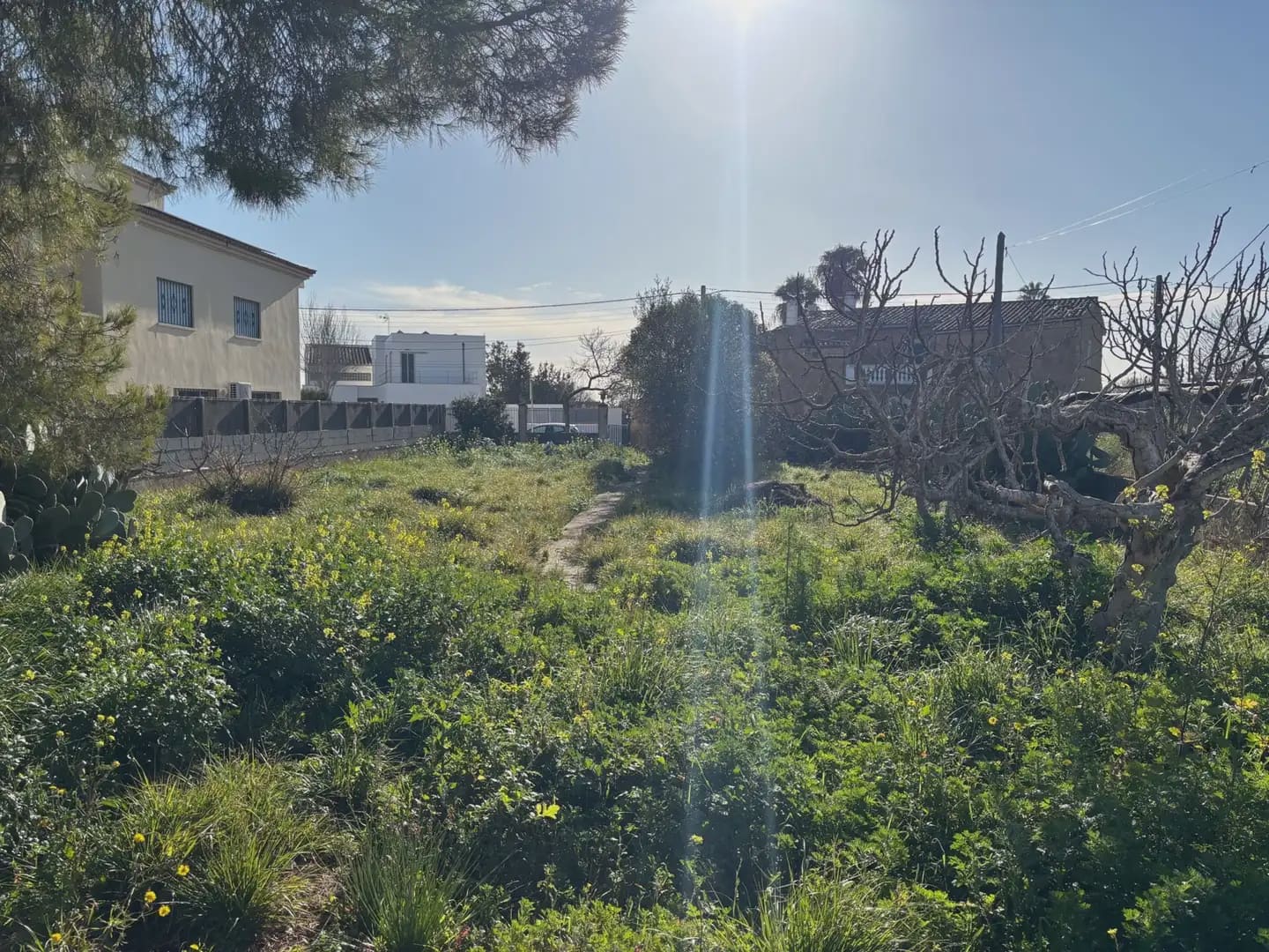 Byggegrund til salg i Palma de Mallorca - € 649.000 (Ref: 9971585)