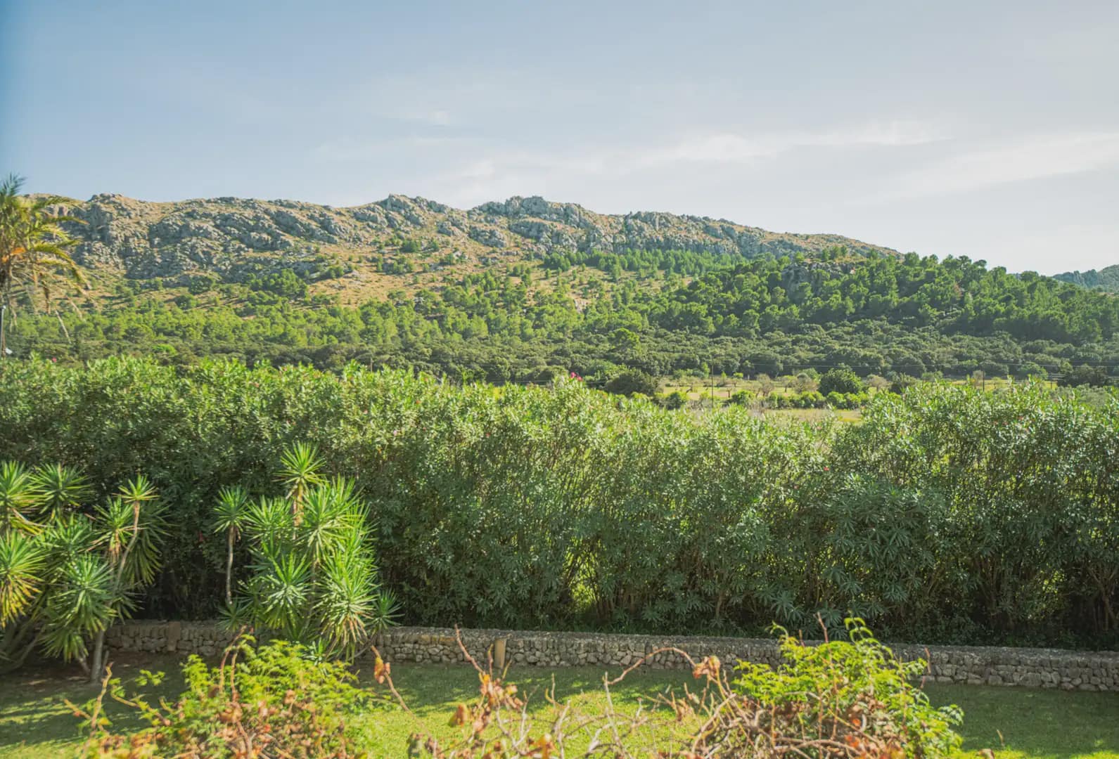 Finca/Casa Rural de 12 habitaciones en Pollensa / Pollença en venta - 8.000.000 € (Ref: 9971589)