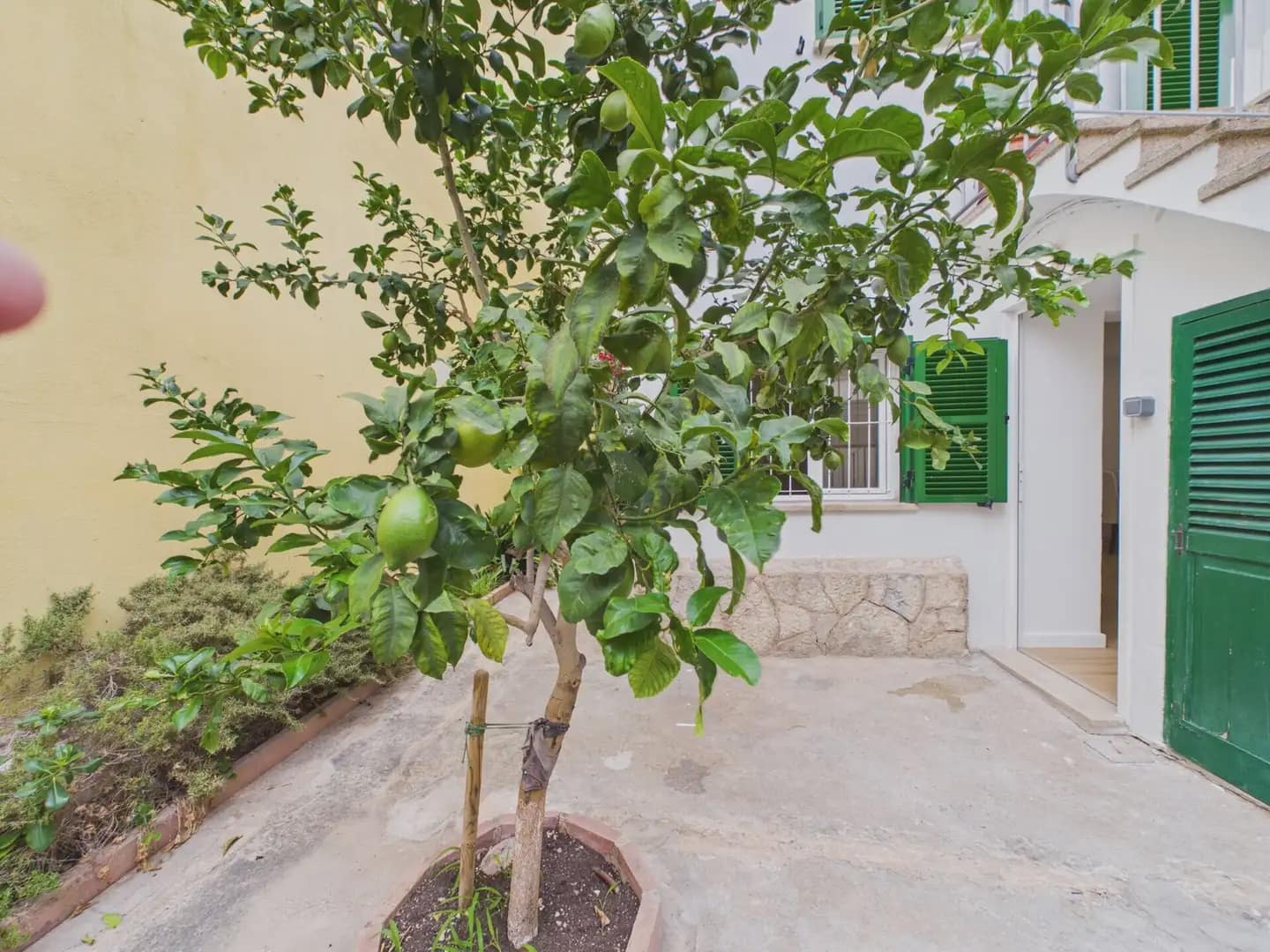 2 soveværelse Lejlighed til leje i Palma de Mallorca - € 1.400 (Ref: 9976024)