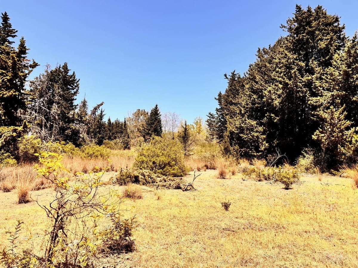 3 quarto Hotel para venda em Guadalmansa - 11 000 000 € (Ref: 8617576)