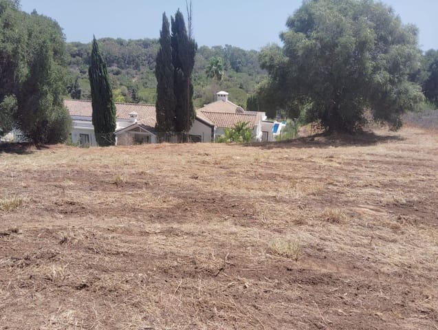 Terreno para Construção para venda em Sotogrande Alto, San Roque - 520 000 € (Ref: 9165113)