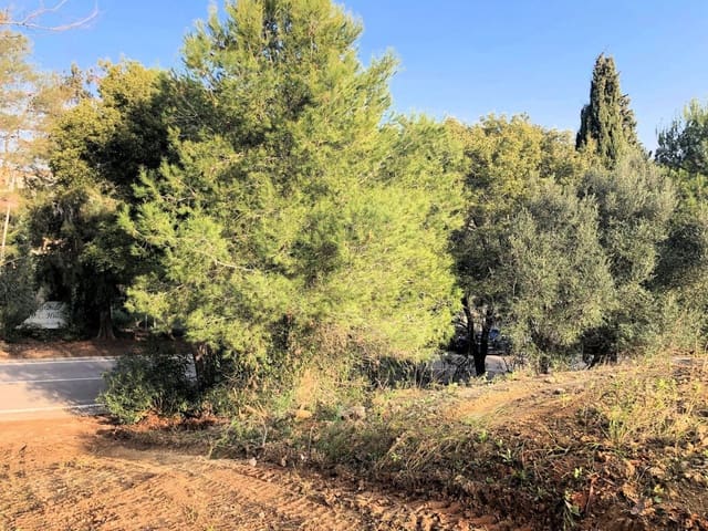 Terreno para Construção para venda em Sotogrande Alto, San Roque - 520 000 € (Ref: 9165113)