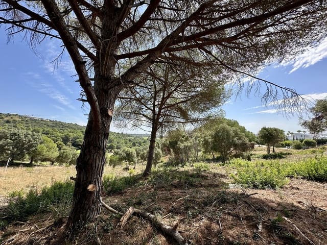Terreno para Construção para venda em Sotogrande Alto, San Roque - 1 102 000 € (Ref: 9207751)