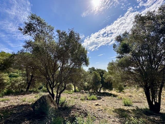 Bauplatz zu verkaufen in Sotogrande Alto, San Roque - 1.102.000 € (Ref: 9207751)