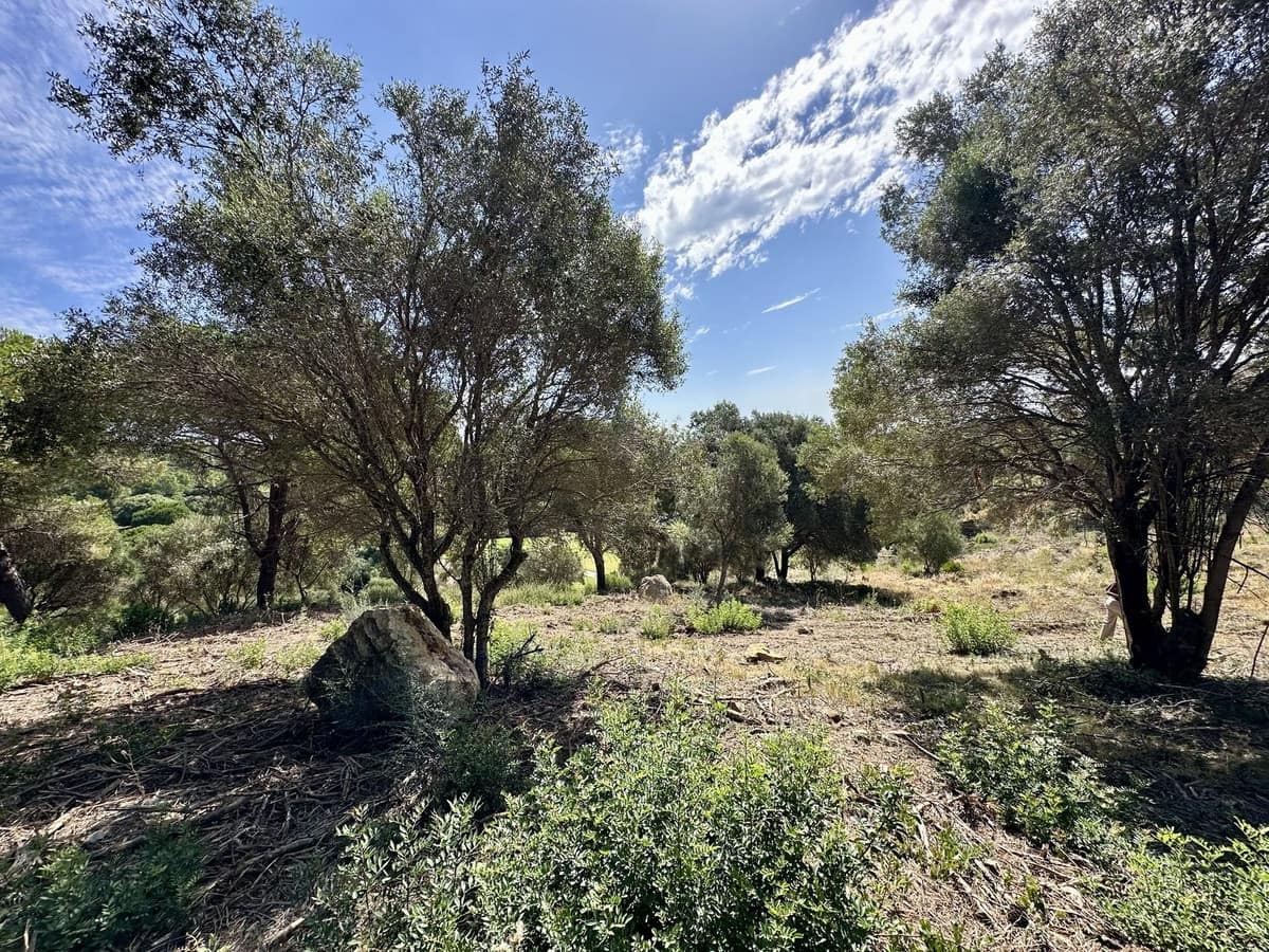 Bouwgrond te koop in Sotogrande - € 1.102.000 (Ref: 9207751)