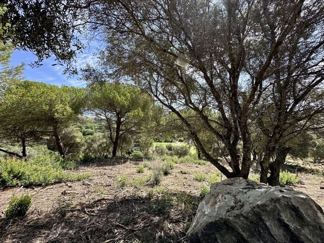 Byggegrund til salg i Sotogrande Alto, San Roque - € 1.102.000 (Ref: 9207751)