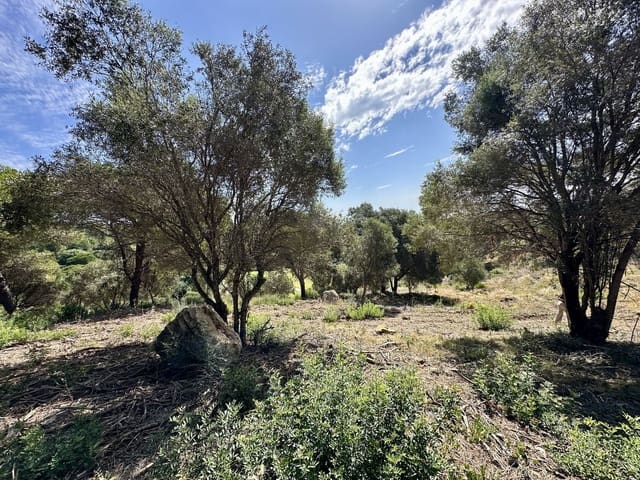 Byggegrund til salg i Sotogrande Alto, San Roque - € 1.102.000 (Ref: 9207751)