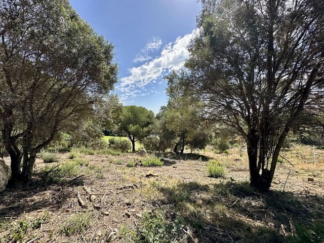 Bouwgrond te koop in Sotogrande Alto, San Roque - € 1.102.000 (Ref: 9207751)