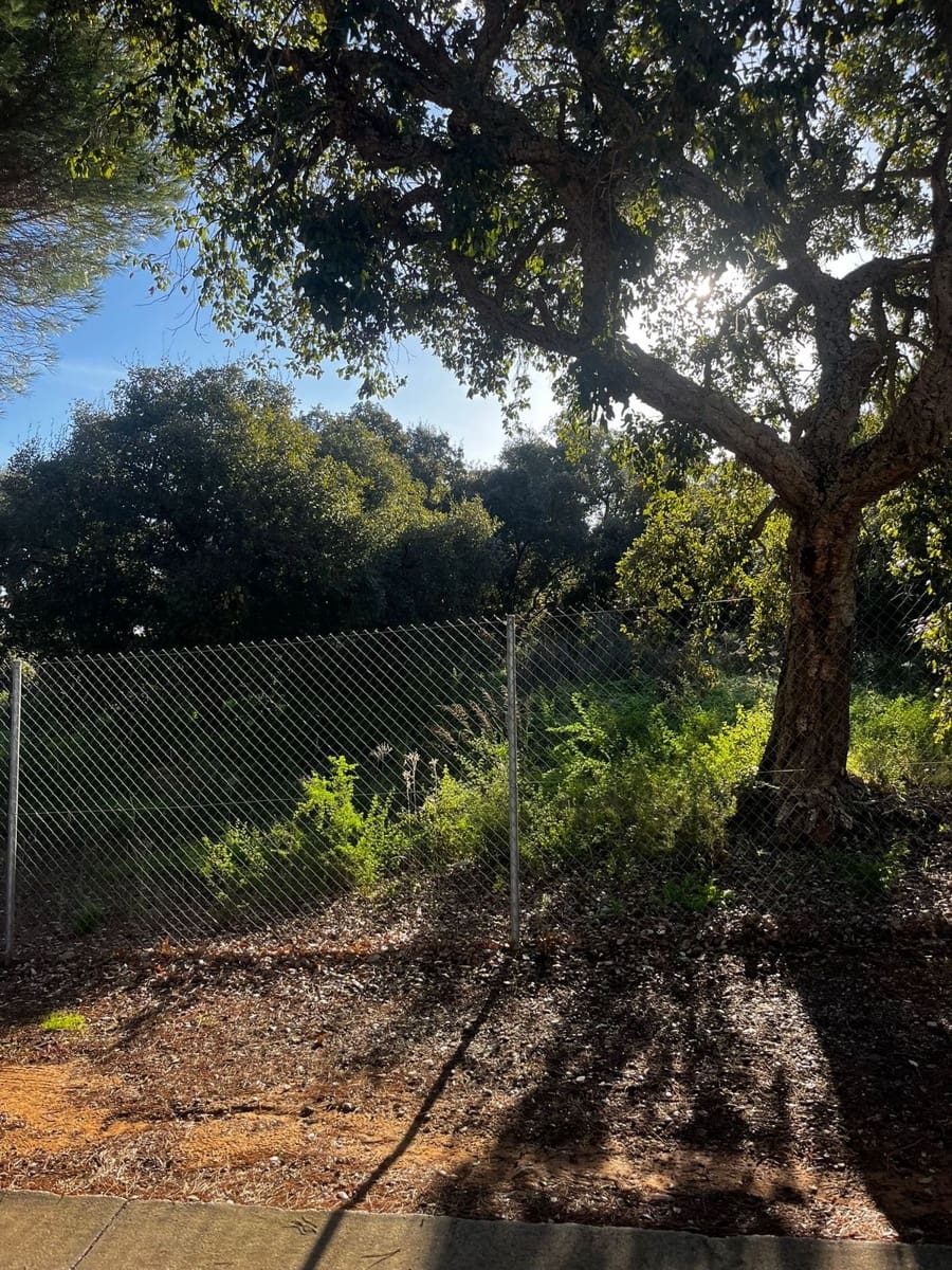 Terreno para Construção para venda em Sotogrande - 525 000 € (Ref: 9580098)