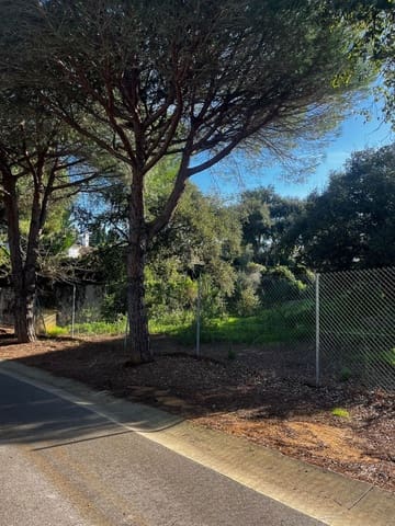 Terreno para Construção para venda em Sotogrande Alto, San Roque - 525 000 € (Ref: 9580098)