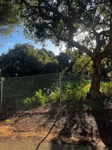 Terreno para Construção para venda em Sotogrande Alto, San Roque - 525 000 € (Ref: 9580098)