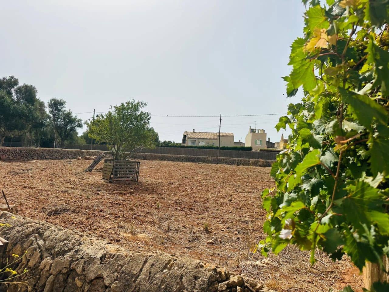 Grond te koop in Calonge - € 670.000 (Ref: 10021184)
