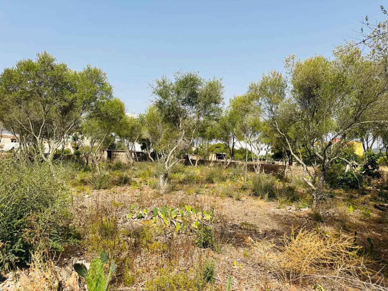 Grond te koop in Calonge - € 670.000 (Ref: 10021184)