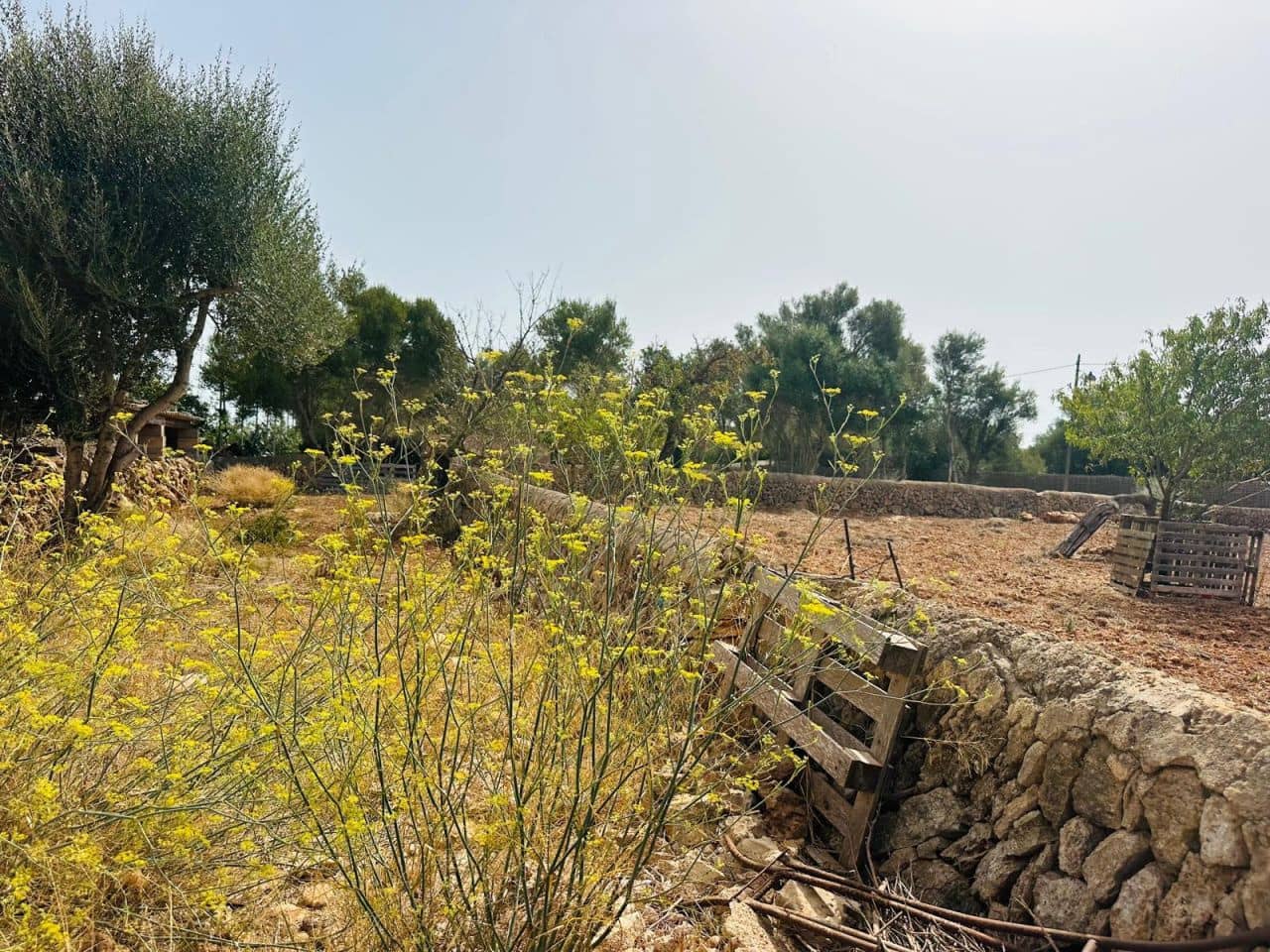 Grond te koop in Calonge - € 670.000 (Ref: 10021184)