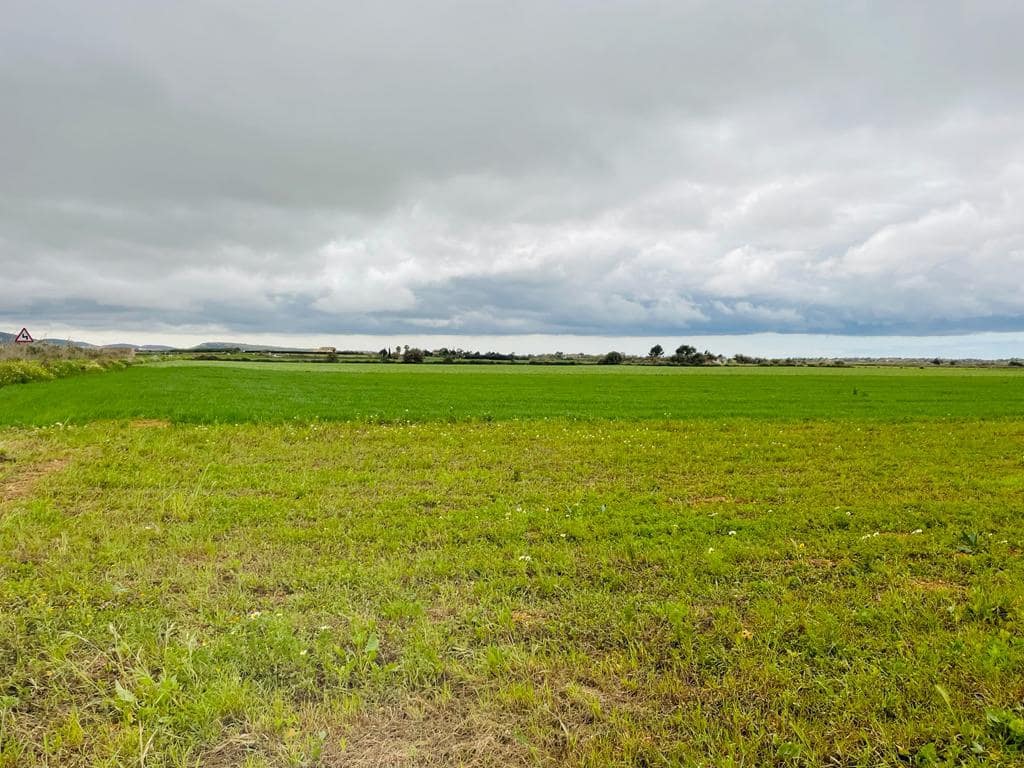 Teren niezagospodarowany na sprzedaż w Villafranca - 85 000 € (Ref: 10022909)