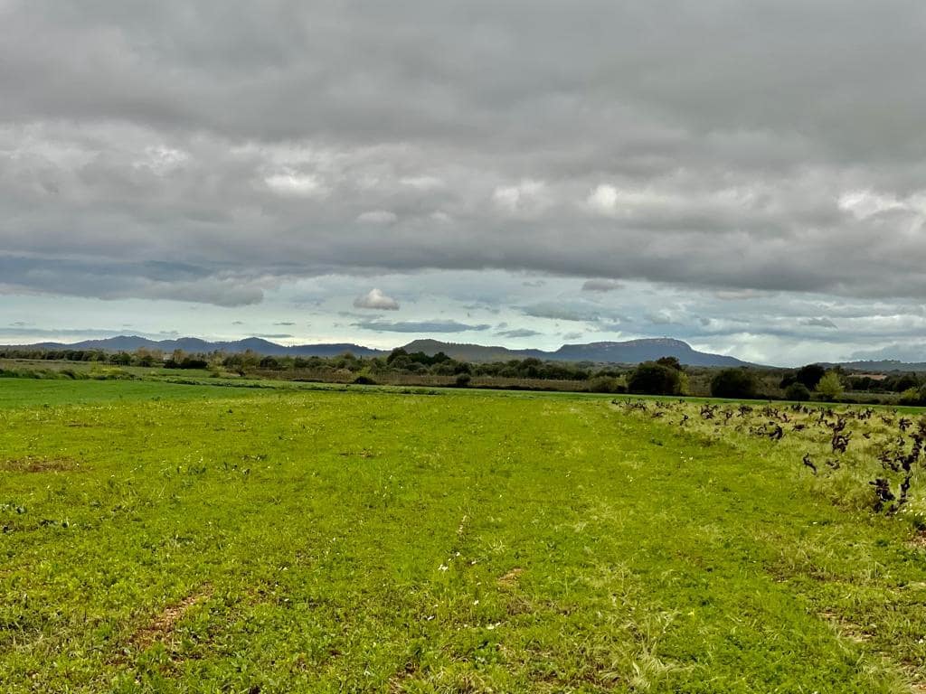 Teren niezagospodarowany na sprzedaż w Villafranca - 85 000 € (Ref: 10022909)