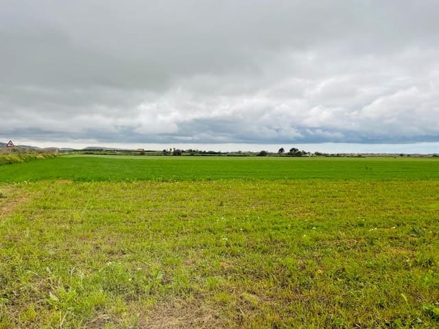 Rakentamaton maa myytävänä paikassa Villafranca - 85 000 € (Ref: 10022909)