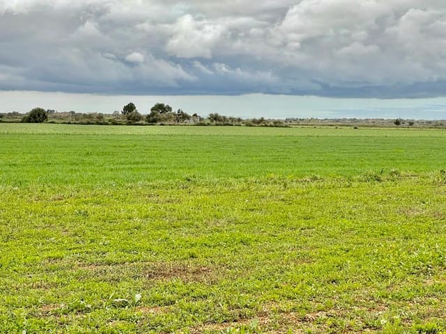 Rakentamaton maa myytävänä paikassa Villafranca - 85 000 € (Ref: 10022909)