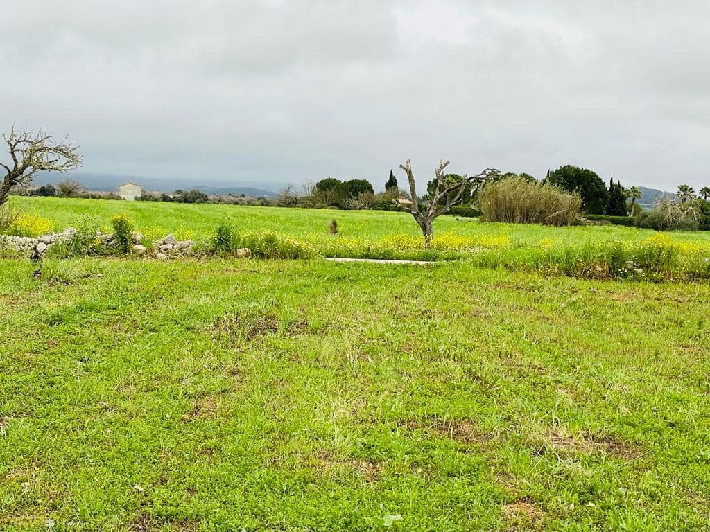 Teren niezagospodarowany na sprzedaż w Villafranca - 85 000 € (Ref: 10022909)