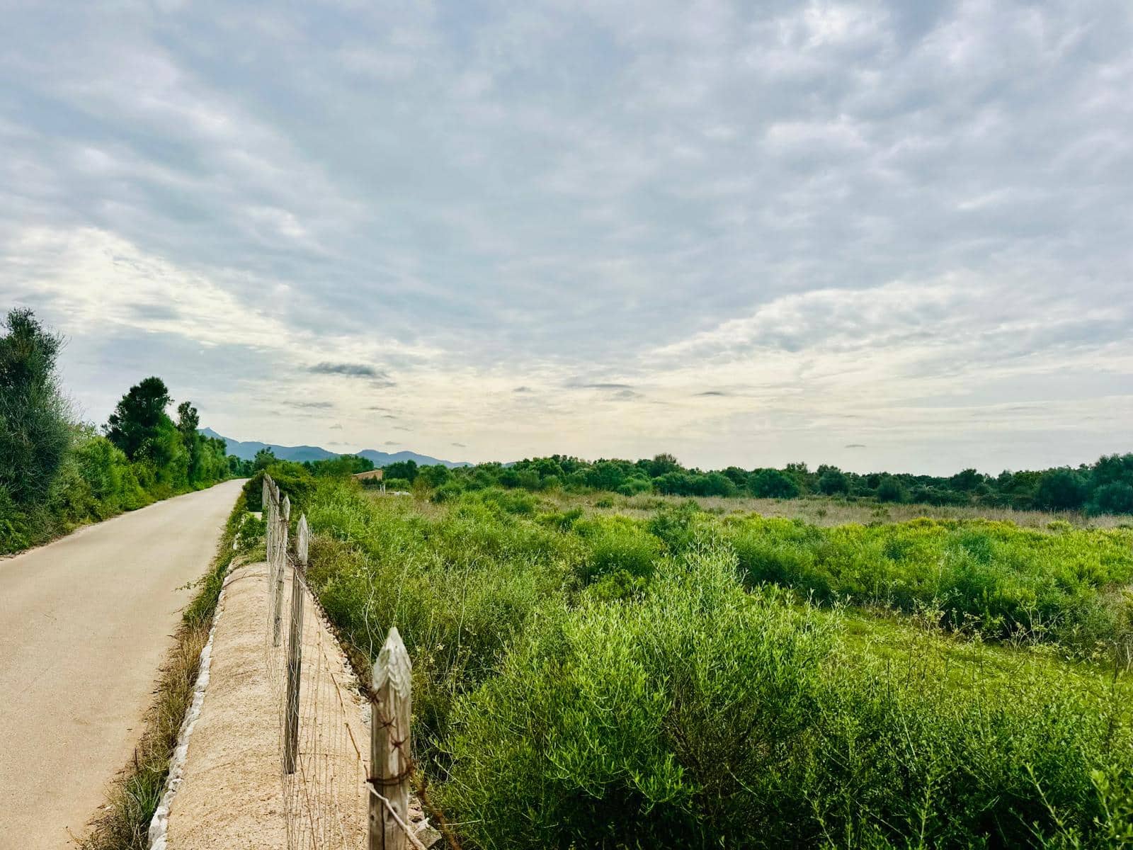 Terreno/Finca Rústica en Felanitx en venta - 64.000 € (Ref: 10149322)
