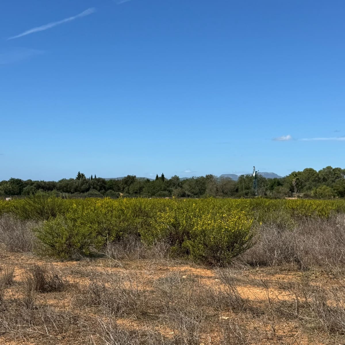 Building Plot for sale in Cas Concos - € 320,000 (Ref: 10163486)