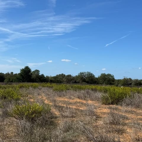 Building Plot for sale in Cas Concos, Felanitx - € 320,000 (Ref: 10163486)
