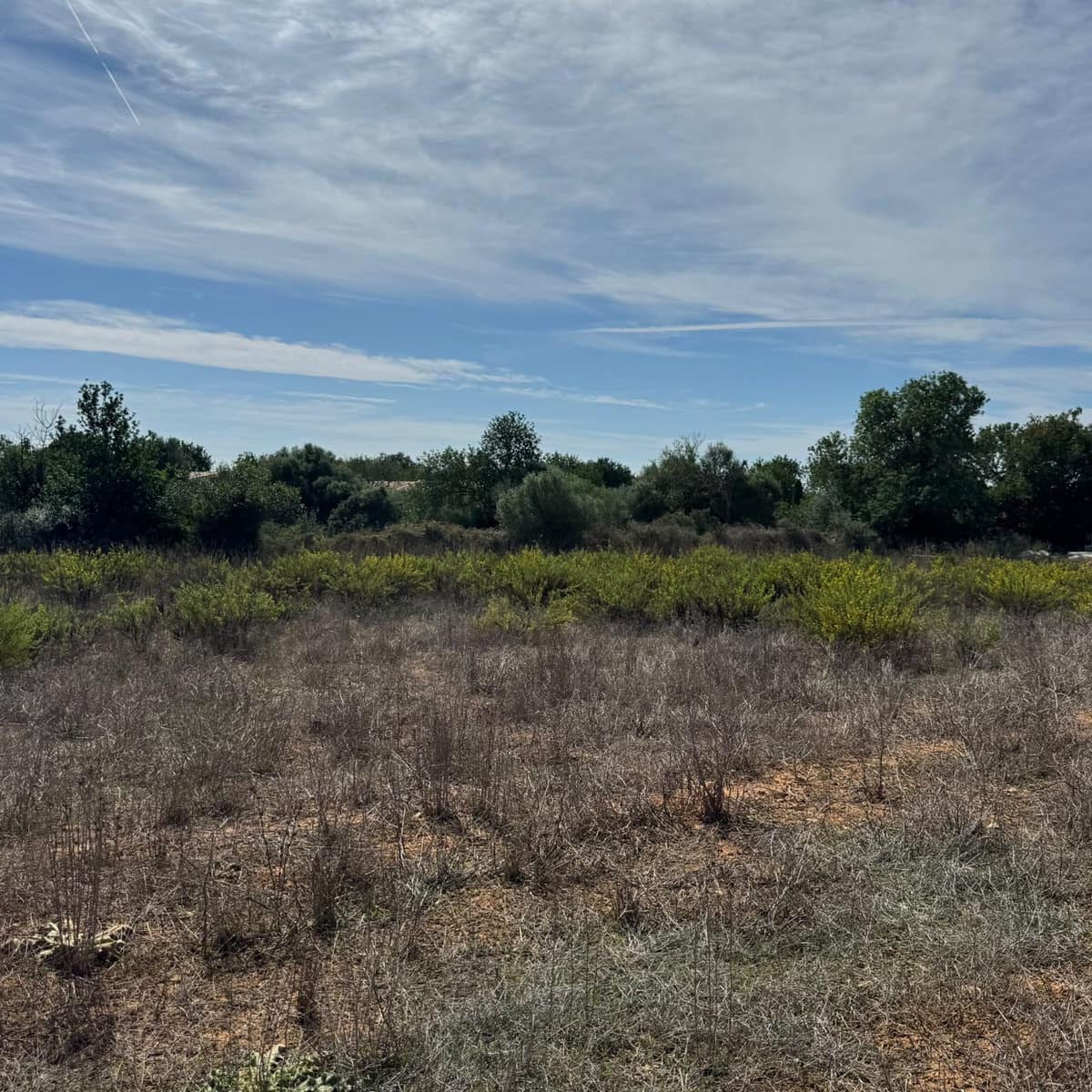 Building Plot for sale in Cas Concos - € 320,000 (Ref: 10163486)