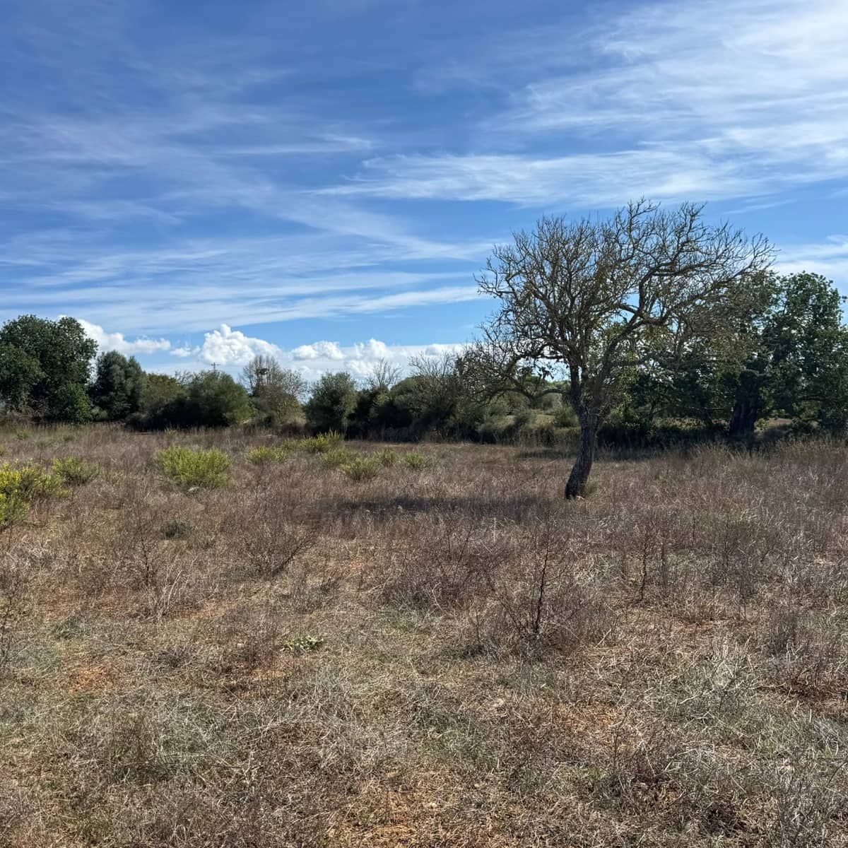 Building Plot for sale in Cas Concos - € 320,000 (Ref: 10163486)