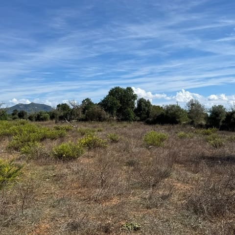 Building Plot for sale in Cas Concos, Felanitx - € 320,000 (Ref: 10163486)