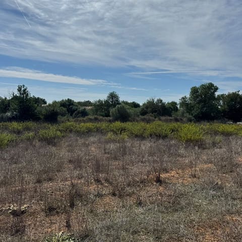 Building Plot for sale in Cas Concos, Felanitx - € 320,000 (Ref: 10163486)