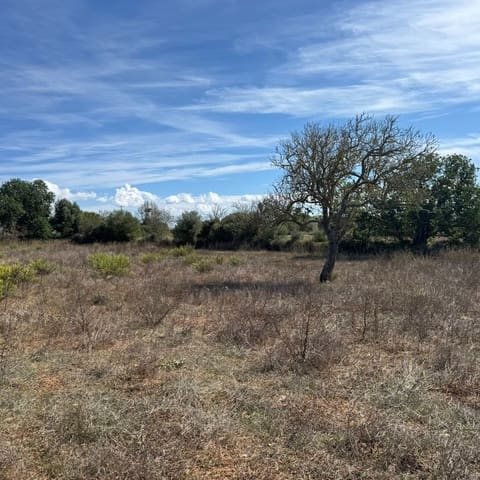 Building Plot for sale in Cas Concos, Felanitx - € 320,000 (Ref: 10163486)