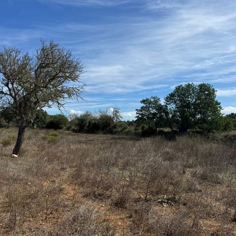 Building Plot for sale in Cas Concos, Felanitx - € 320,000 (Ref: 10163486)