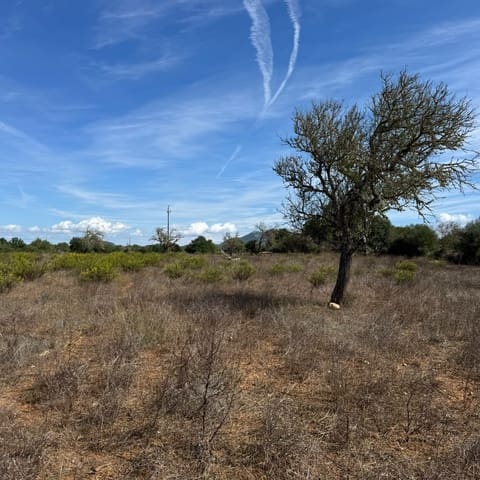 Building Plot for sale in Cas Concos, Felanitx - € 320,000 (Ref: 10163486)