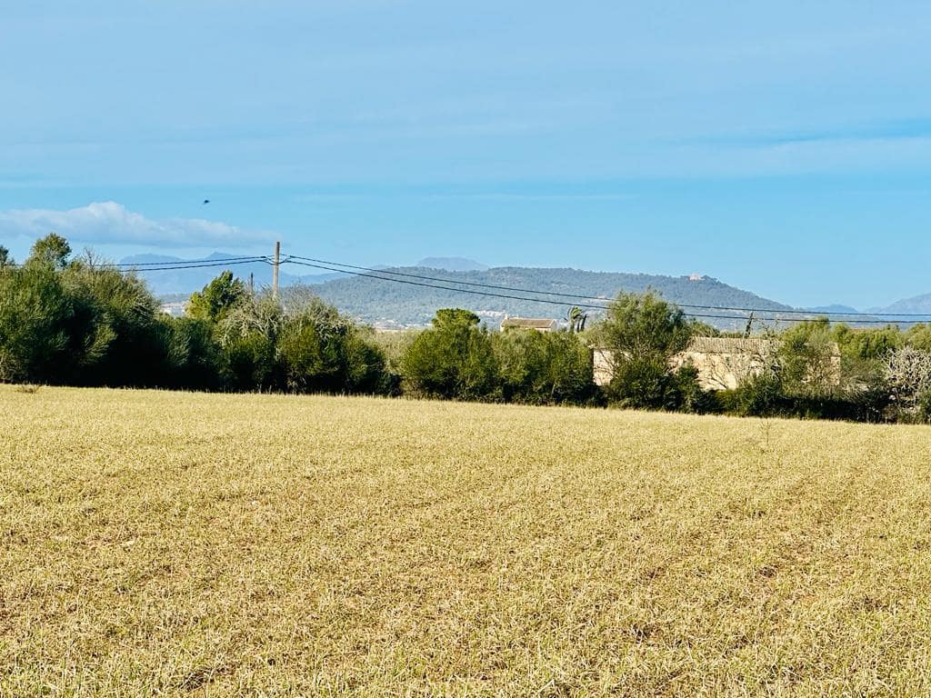 Grunde uden byggetilladelser til salg i Manacor - € 199.000 (Ref: 6291122)