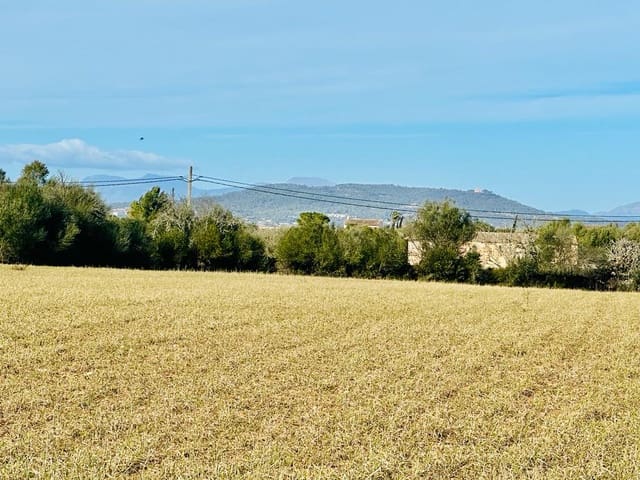 Grond te koop in Manacor - € 199.000 (Ref: 6291122)