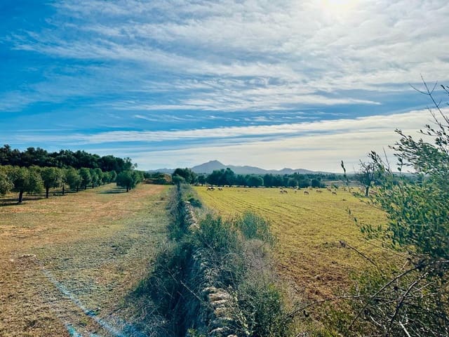 Grond te koop in Manacor - € 199.000 (Ref: 6291122)