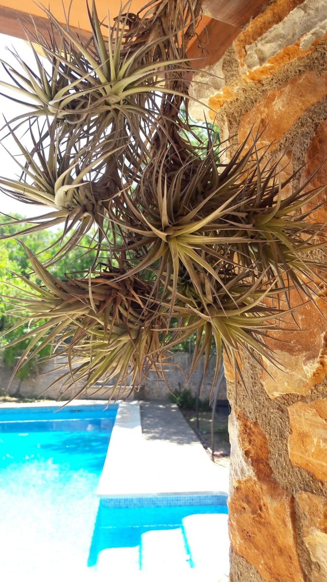 3 quarto Quinta/Casa Rural para venda em Felanitx com piscina garagem - 890 000 € (Ref: 6732928)