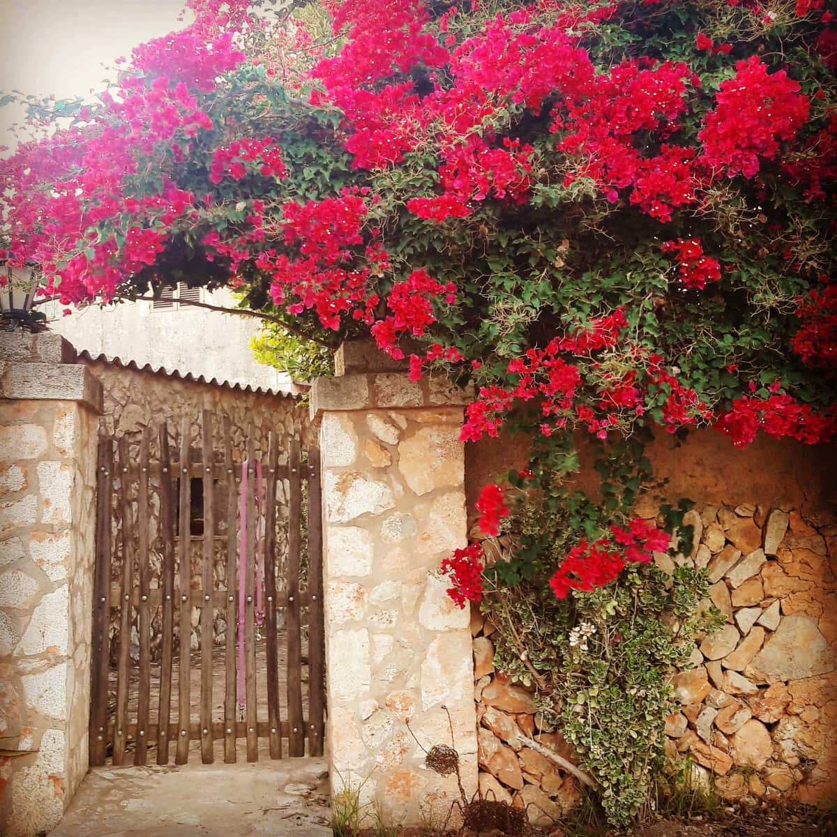 3 quarto Quinta/Casa Rural para venda em Felanitx com piscina garagem - 890 000 € (Ref: 6732928)