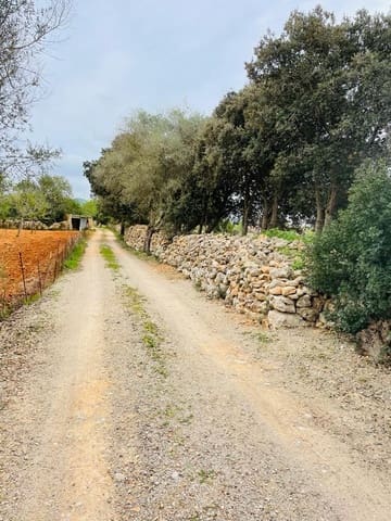 Undeveloped Land for sale in Cas Concos, Felanitx - € 478,000 (Ref: 6815569)