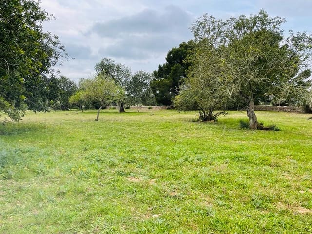 Undeveloped Land for sale in Cas Concos, Felanitx - € 478,000 (Ref: 6815569)