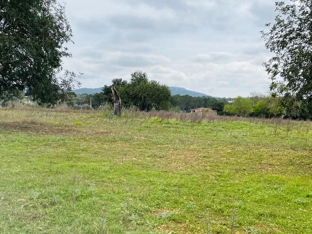 Undeveloped Land for sale in Cas Concos, Felanitx - € 478,000 (Ref: 6815569)