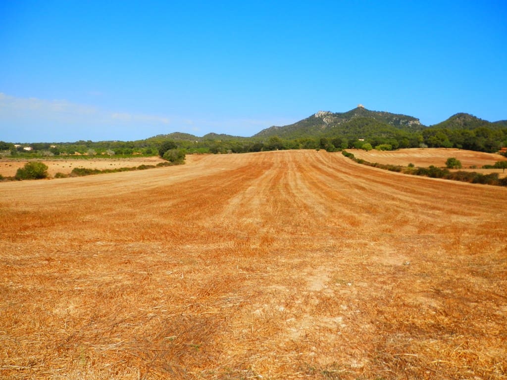 Grunde uden byggetilladelser til salg i Felanitx - € 295.000 (Ref: 6815572)