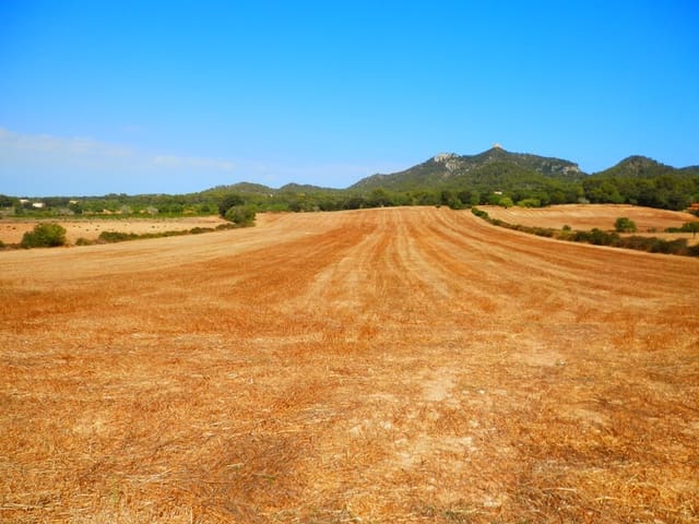 Terreno Não Urbanizado para venda em Felanitx - 295 000 € (Ref: 6815572)