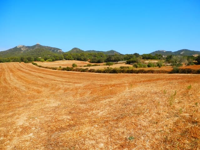 Terreno Não Urbanizado para venda em Felanitx - 295 000 € (Ref: 6815572)