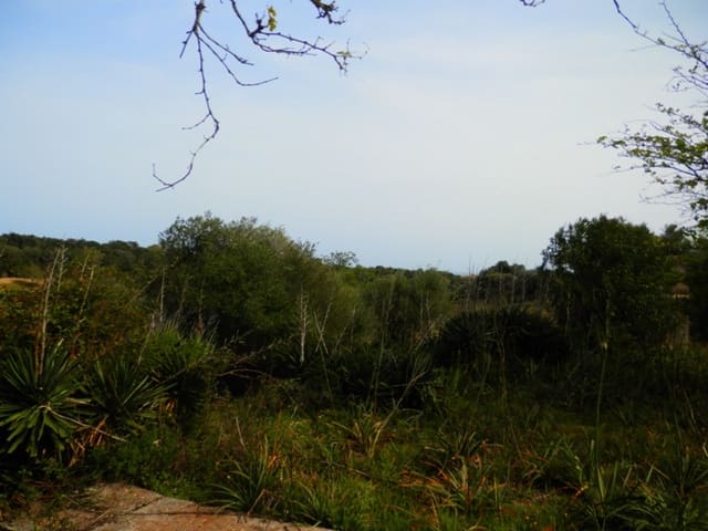 3 soverom Finca/Herregård til salgs i Espinagar, Manacor med garasje - € 690 000 (Ref: 6817070)