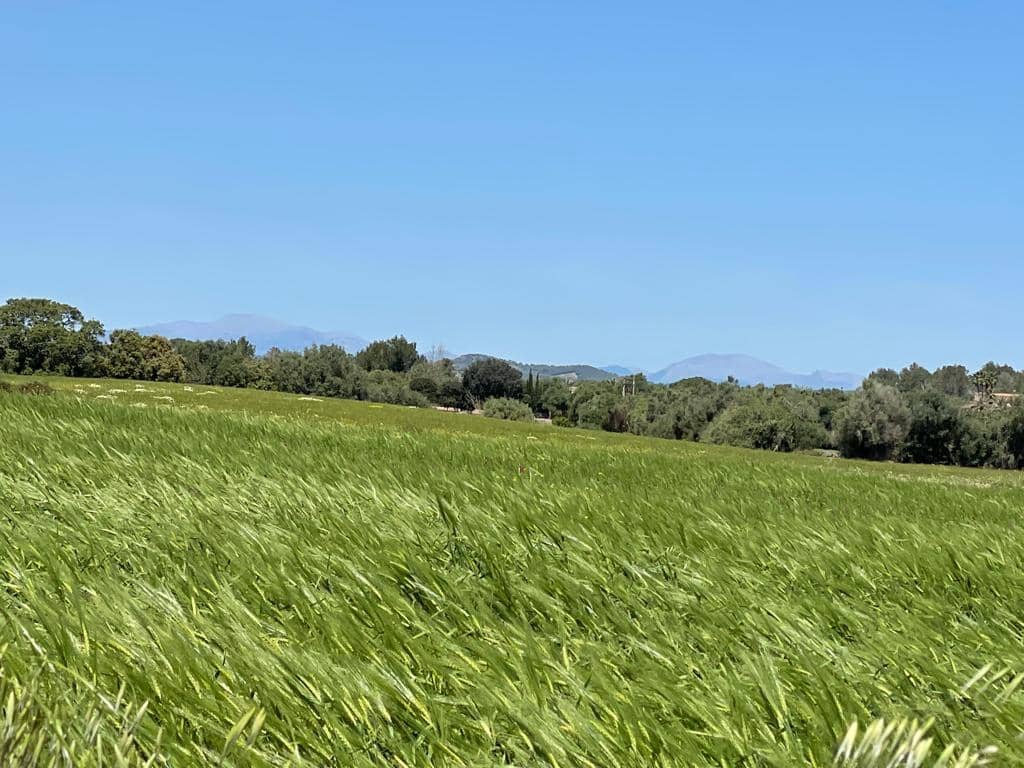 6 chambre Finca/Maison de Campagne à vendre à Felanitx avec garage - 1 900 000 € (Ref: 6826827)